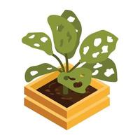 House decoration, an isometric icon of plant vector