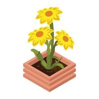 Have a look at this isometric icon of flower pot vector