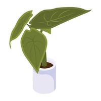 House decoration, an isometric icon of plant vector