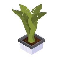 House decoration, an isometric icon of plant vector