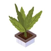House decoration, an isometric icon of plant vector