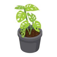 House decoration, an isometric icon of plant vector