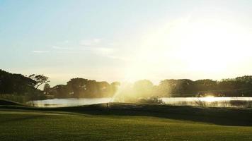 automatisk högtrycksvattenspridare på golfbanan vattnar gräset, bakgrundsbelyst vatten från en sprinkler på kvällen, solens gyllene sken. video