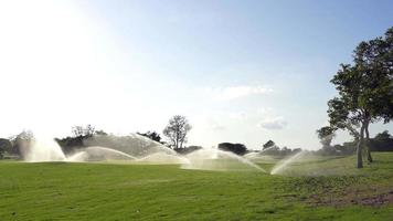Automatic high-pressure water sprinkler at the golf course watering the grass video