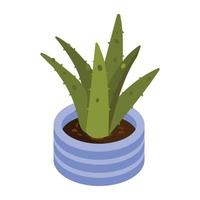 Potted plant for house decor, an isometric icon of aloe vera vector