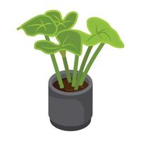 House decoration, an isometric icon of plant vector