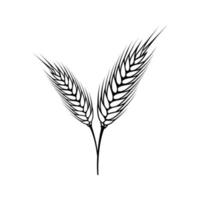 wheat vector icon