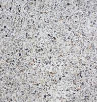 terrazzo texture for background photo