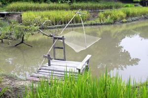Fishing equipment, fishing net and rice are pregnant. photo