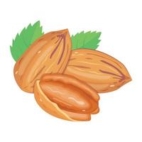 Healthy and organic diet, isometric icon of pecan nuts