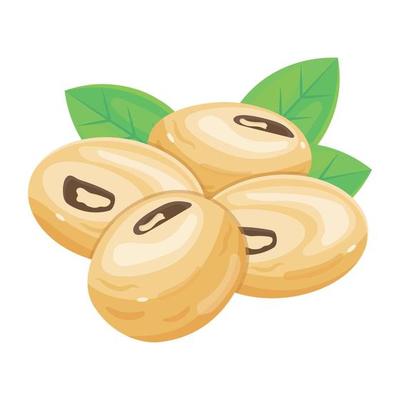 Get a glimpse of this isometric icon of soy seeds