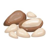 High quality isometric icon design of pine nuts vector