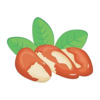 Have a look at this amazing isometric icon of Brazil nuts vector