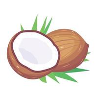 Get your hands on this isometric icon of coconut vector