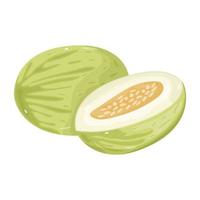 An icon of melon in isometric style vector