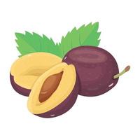 Visually appealing isometric icon of plum vector