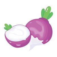 An isometric icon of turnip, root vegetable vector