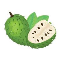 Get your hands on this delightful icon of custard apple vector