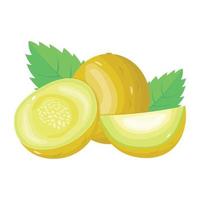 An icon of cantaloupe in isometric style vector