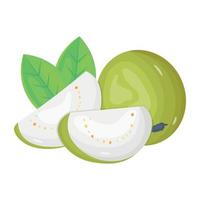 A trendy isometric icon design of psidium guajava vector