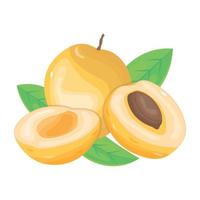 Yummy apricots isometric icon, vector design