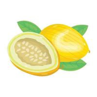 An icon of cucumis melo in isometric style vector