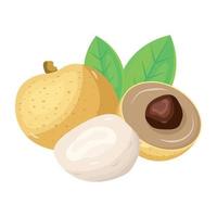 Organic diet, an isometric icon of longan vector