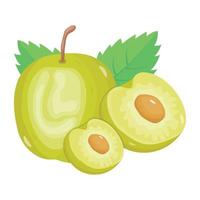 un icono isométrico bien diseñado de manzana azufaifa vector