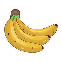 Trendy isometric vector design of bananas