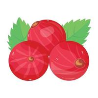 An isometric icon of cranberries in vector format