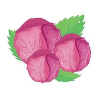 Catch a sight of this isometric icon of red cabbage vector