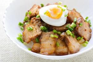 Bowl of rice topped with Braised pork belly and boiled egg, Japanese called Kakuni-don photo