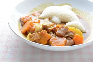 Japanese curry with dolphin rice shape and fried chicken. photo