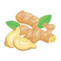 A well-designed isometric icon of ginger vector