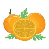 Citrus fruit, an isometric icon of mandarin vector