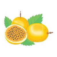 Catchy isometric icon of passion fruit