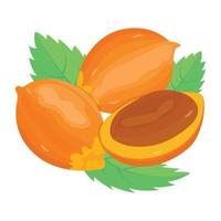 Catch a sight of this mouth watering isometric icon of awara fruit vector