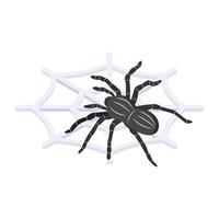 A scary isometric icon of spider web, editable vector