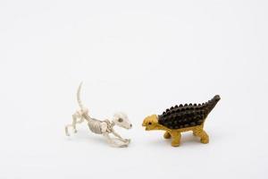 Skeleton dog and Ankylosaurus photo