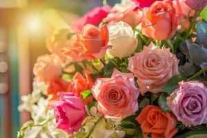 Rose and warm light in garden background photo