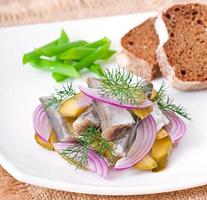 herring salad with pickled cucumbers and onions photo
