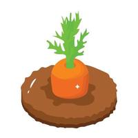 Get your hands on this carrot cultivation icon, isometric vector