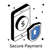 A secure payment icon in isometric design vector