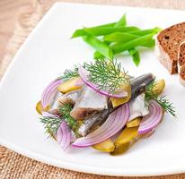 herring salad with pickled cucumbers and onions photo