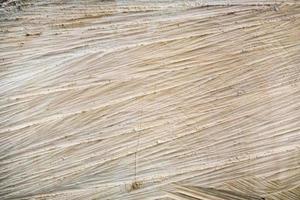 Wooden textured background. Cross-sectional view of a log cut end wooden textured.