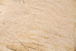 Wood texture background.Surface of wood with nature color and pattern. Cross-sectional view of a log cut end wooden textured. photo