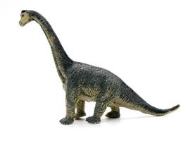 Brachiosaurus dinosaurios juguete sobre fondo blanco.