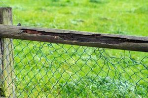 closeup of a wooden fence photo