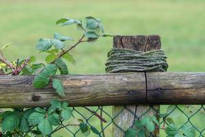 closeup of a wooden fence with rope photo