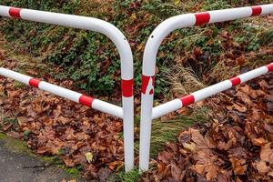 White and red fence in the forest captured in autumn photo